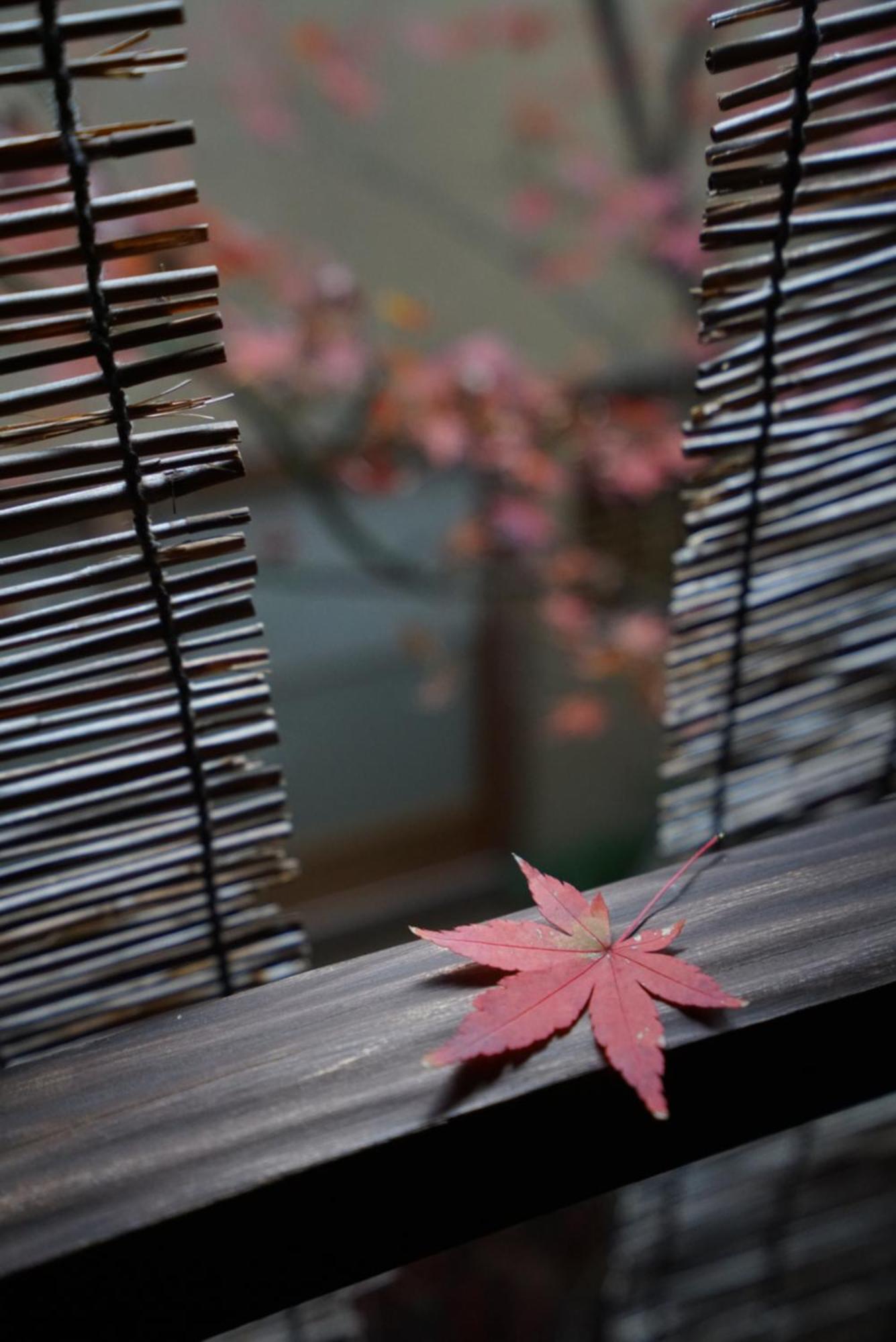 Ryokan Tori Kioto Exterior foto