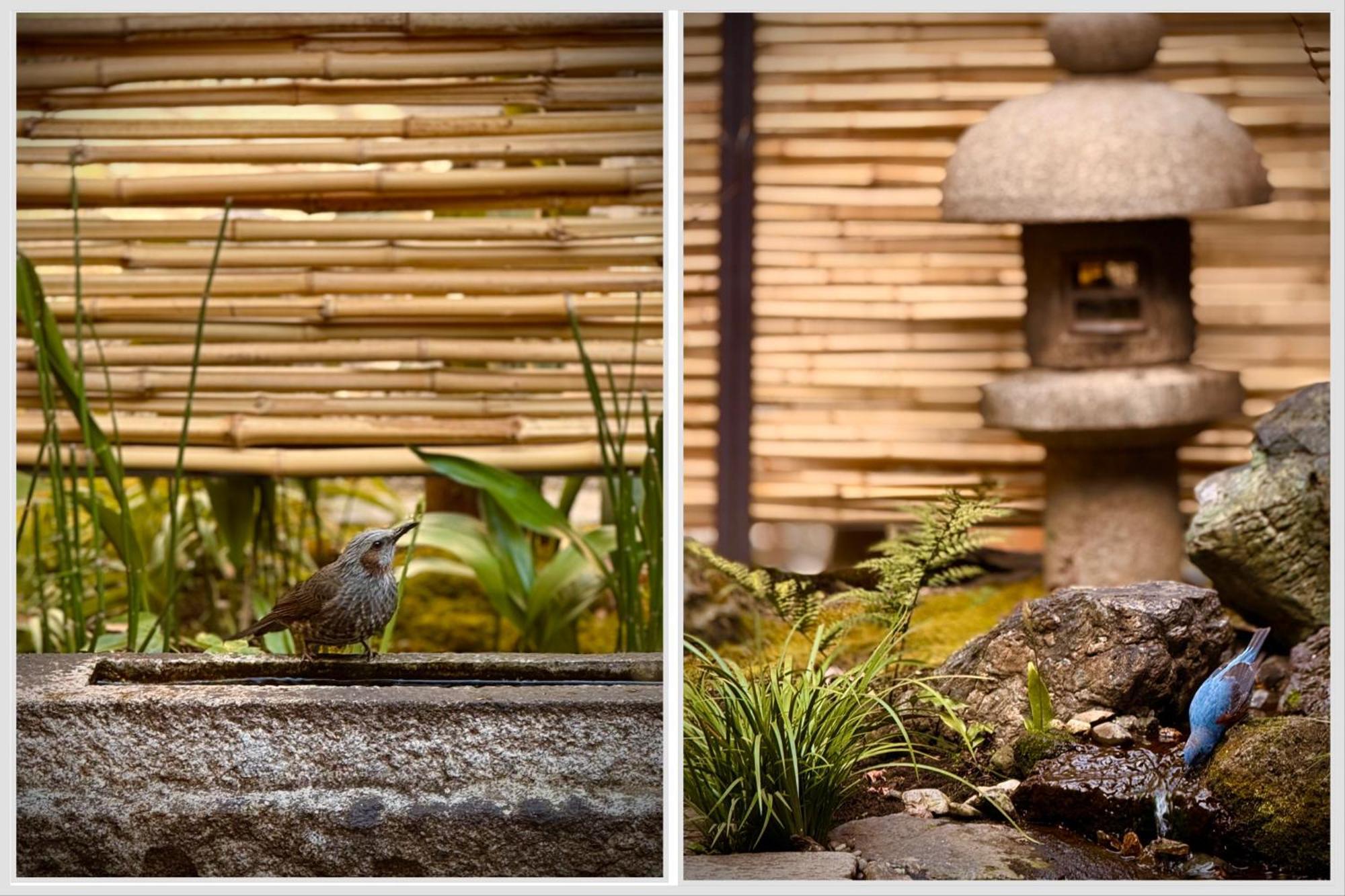 Ryokan Tori Kioto Habitación foto